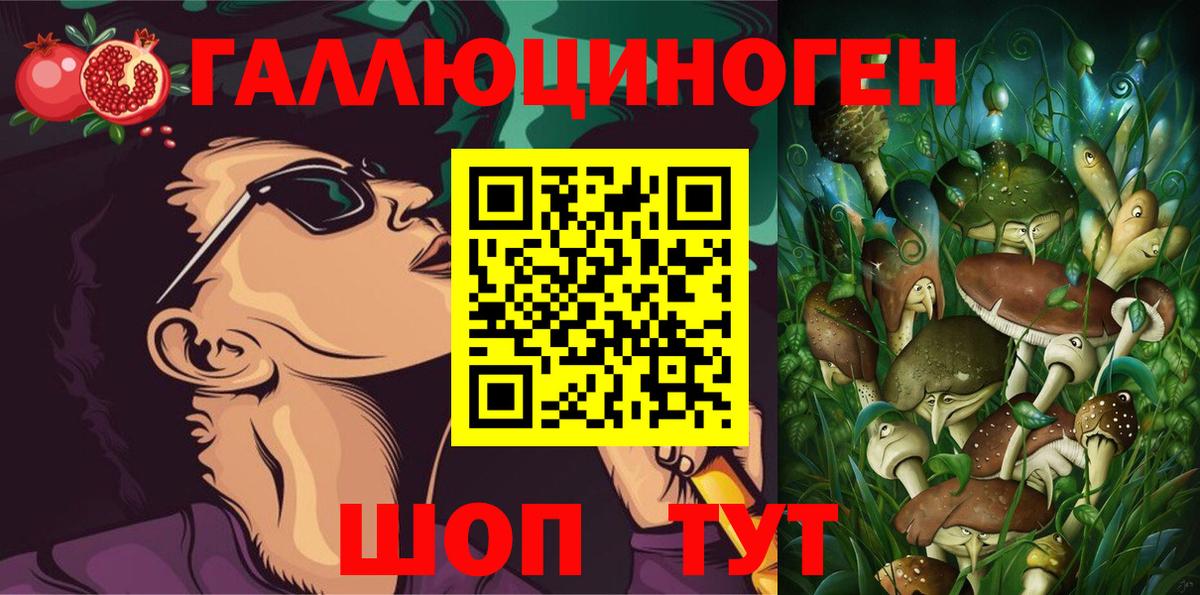 Галлюциногенные грибы Psilocybe Красноармейск