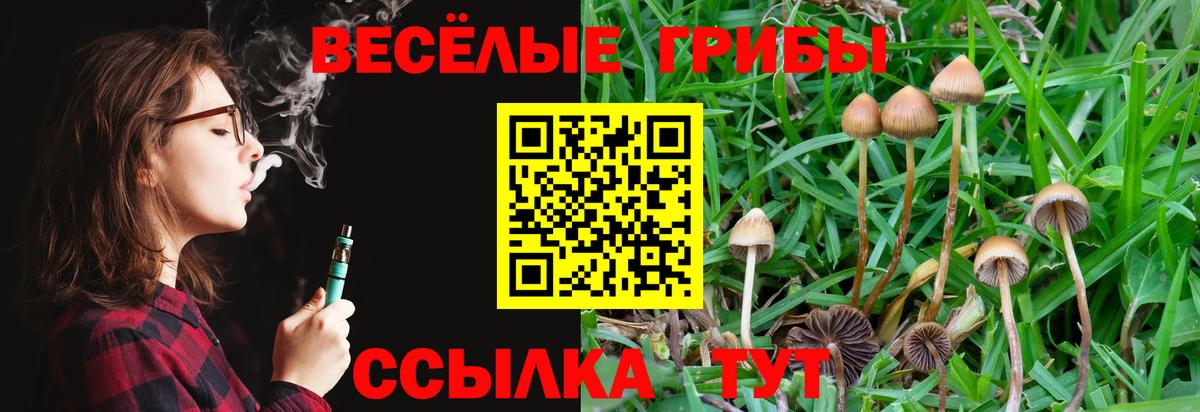 Псилоцибиновые грибы GOLDEN TEACHER  Вход с VPN  Красноармейск 